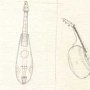 Dessins de Cucurbitacordes calbaphoniques