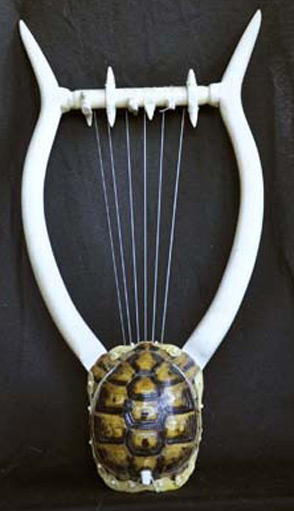 lyre en carapace de tortue vue de dos